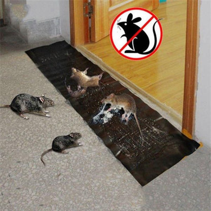 Mouse/Rat Trap Sheet