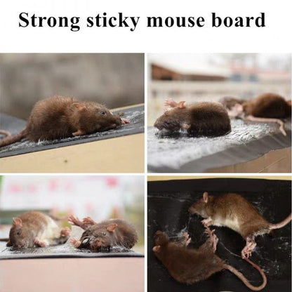 Mouse/Rat Trap Sheet