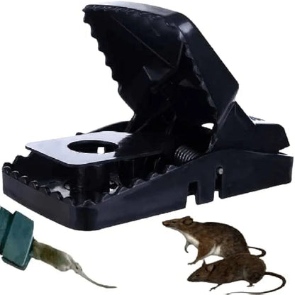 Mouse Catch Mouse Trap Strong Plastic Buy 2 Get 1 Free