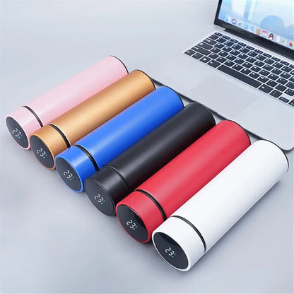 Temperature Display Water Bottle