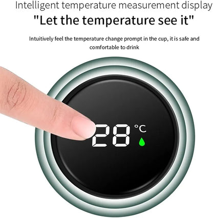 Temperature Display Water Bottle