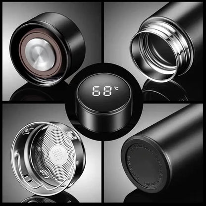 Temperature Display Water Bottle