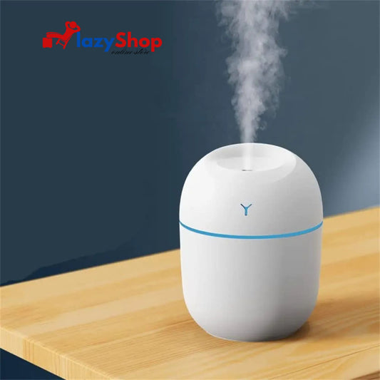 Portable Mini Humidifier